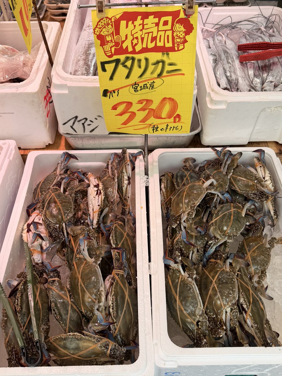 yamatora_13's tweet photo. 本日のおすすめの魚
#十三
#山虎 https://t.co/GYEMbSHAYR