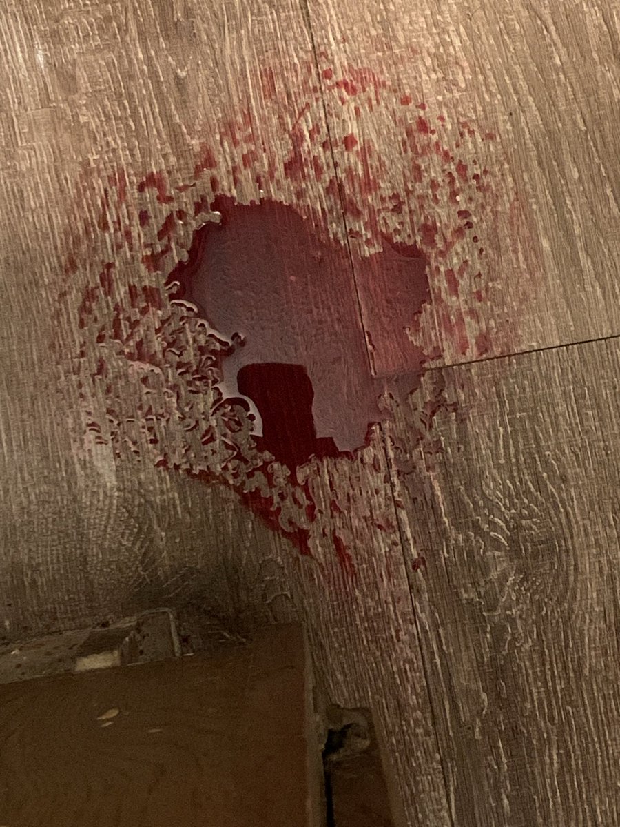 typewritershi's tweet photo. working on a horror movie heres my sfx!!! https://t.co/22hhZlWpYx