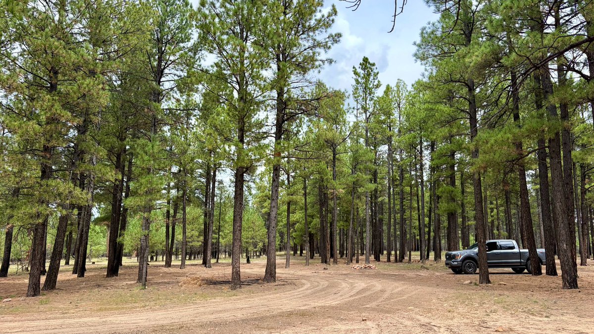XploreFoto's tweet photo. Spent the day driving forest roads looking for camp sites.  These three could work. https://t.co/Rs3vzmSQ2X