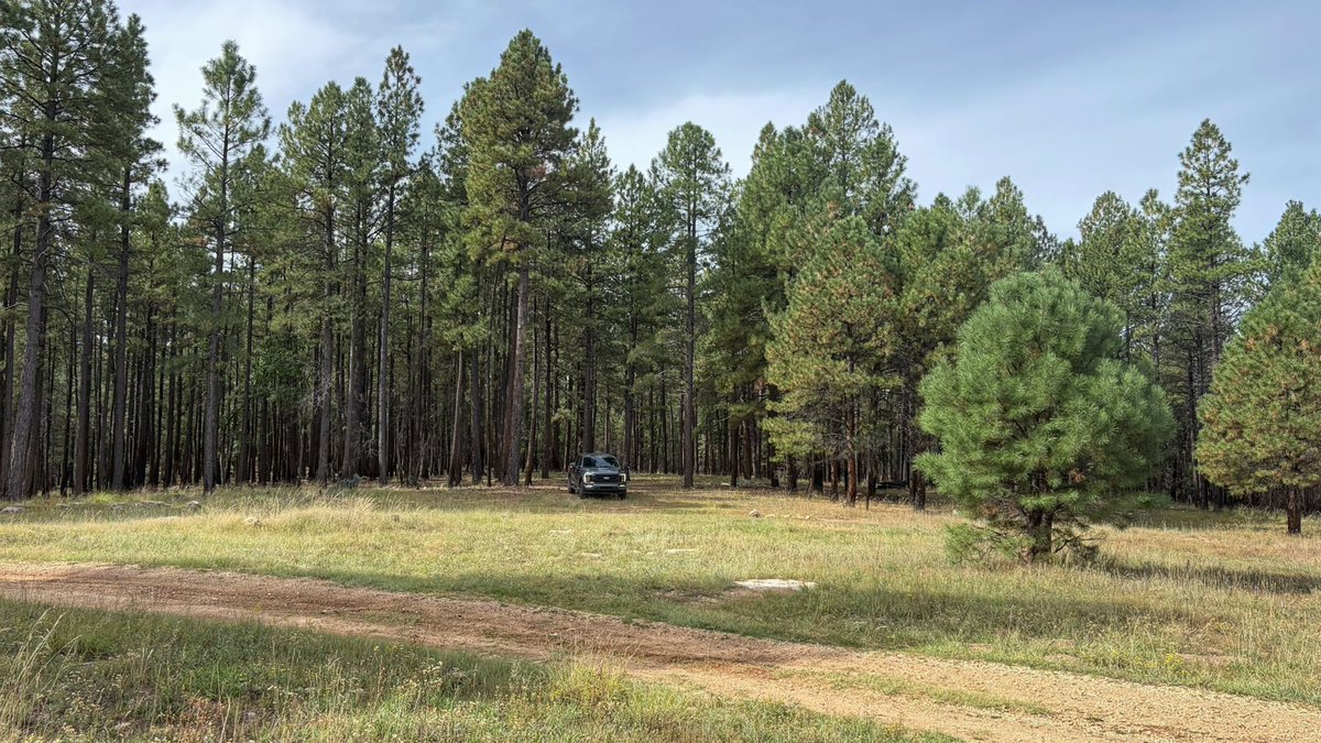 XploreFoto's tweet photo. Spent the day driving forest roads looking for camp sites.  These three could work. https://t.co/Rs3vzmSQ2X
