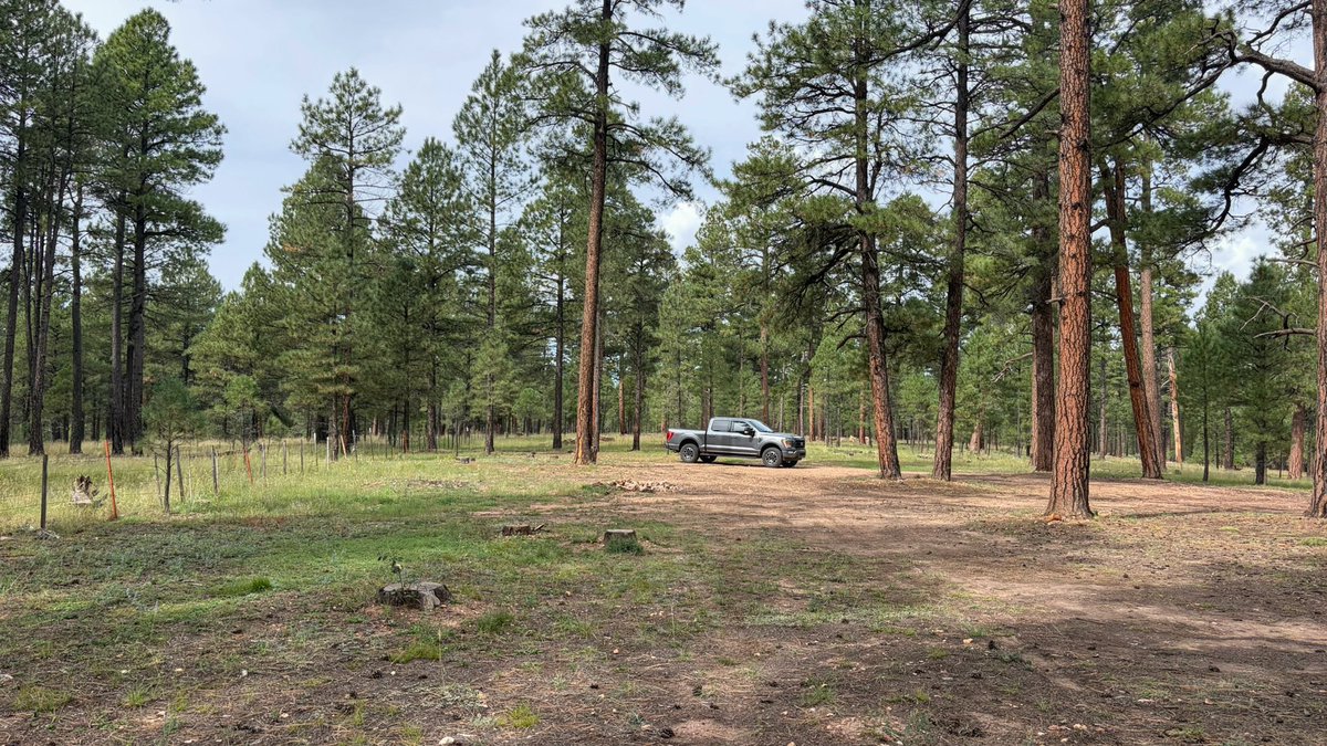 XploreFoto's tweet photo. Spent the day driving forest roads looking for camp sites.  These three could work. https://t.co/Rs3vzmSQ2X