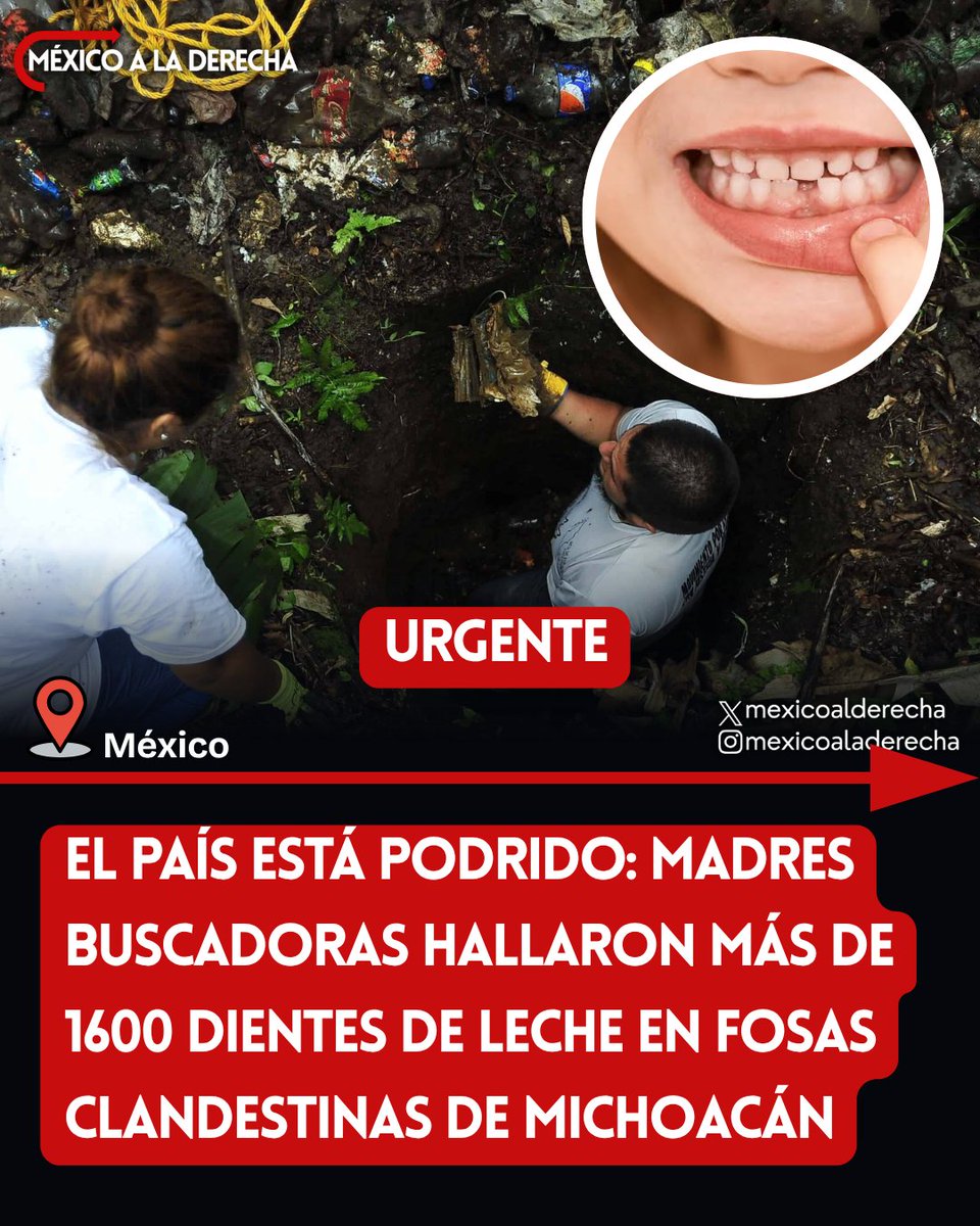 MexicoalDerecha's tweet photo. 🚨🇲🇽/ 1,600 DIENTITOS DE LECHE Y EL PAÍS CALLADO

Madres buscadoras denuncian que en Zacapu, Michoacán, hallaron unos 1,600 dientes de leche en un predio usado como crematorio clandestino. Según ellas y un perito que las acompaña, corresponderían a niños de entre 1 y 6 años.

No es un rumor de grupo de WhatsApp. Lo publicó Óscar Balderas en Milenio.

Y aún así, el régimen ni se inmuta. Mientras tanto, los politicos se pelean por memes, stickers y “violencia digital” contra funcionarios.

Esas son las prioridades del narcogobierno, cuidar la imagen, no a los niños. 

Si esto no enciende al país, entonces ya nos acostumbramos a lo impensable. 

México no se merecía esto. 

Las familias tampoco.

El país está podrido.