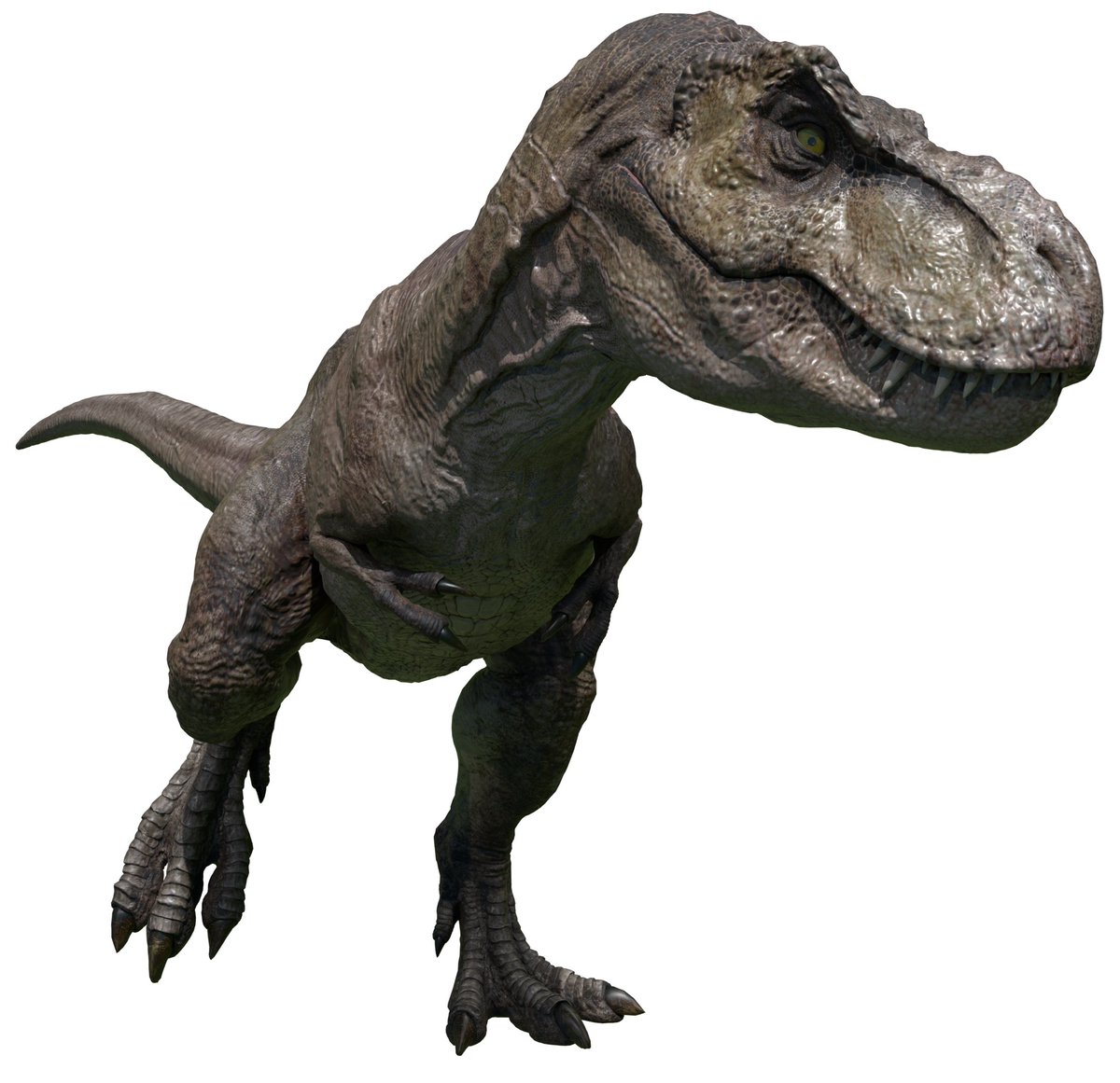 JimmyHo29i's tweet photo. Rexy JWD Rig

I am releasing the blend file for this Rexy IK rig.
Model From Jurassic World Archipelago
Disclaimers: The model might be buggy, I will try to fix this.
https://t.co/gU2knS6eYo https://t.co/o8SyS2H5G2