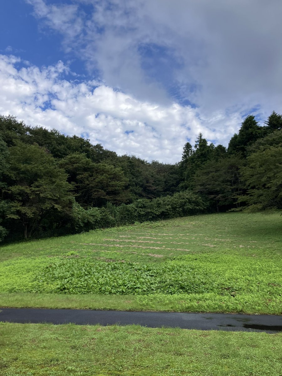 SanritsuGakki's tweet photo. 【徒然阿部閑話】木曜日は加美町にある国立音楽院宮城キャンパスで講師をしている阿部です😊
朝夕めっきり肌寒くなった今日この頃です。
今日のお題は、3年生1年生共に明日からの試験の準備と対策です😁

#管楽器リペア
#国立音楽院
#宮城キャンパス
#加美町 https://t.co/zSz3CPZG8u