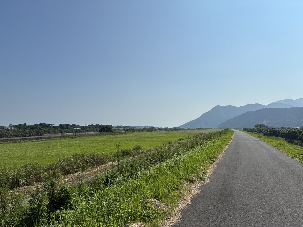 obaatsu's tweet photo. 志布志〜鹿屋は川沿い走るのがベストルートだったな。
直前ルートだと交通量とアップダウン多くてストレスだったし https://t.co/uNcqlX1Fi3