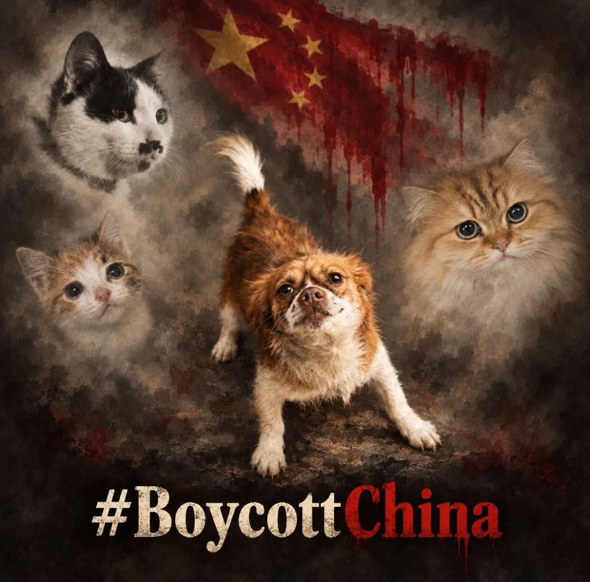 feilung_lau's tweet photo. Wang Wang’s story became a point of no return for me. It revealed the terrifying truth about how defenseless animals remain in China—and how far human cruelty can go when people know they will face no real punishment for their actions.

A tiny dog and her puppies were killed with a level of deliberate cruelty that can neither be understood nor justified. But even more horrifying are the words: “It was only a dog.” As if her life meant nothing. As if she could not feel pain or fear. As if she were not a mother who stayed beside her babies until the very end.

Wang Wang has become a symbol of all the animals whose suffering is hidden, dismissed, or left unpunished. Her story showed the world that this was not an isolated tragedy, but part of a much greater problem that can no longer be ignored.

Today, hundreds of thousands of people in different countries are demanding justice. They are joining protests, signing petitions, sharing the stories of animals who have been killed, and calling on China to enact a real law against animal cruelty.

I desperately want to believe that our voices will be heard, but hope is fading. In a country where every major decision depends on those in power, only the government can stop this cruelty and introduce meaningful punishment. Yet money, influence, and control seem to matter more to it than the suffering of defenseless animals.

And still, we have no right to remain silent.

For Wang Wang and her puppies. For the cats and dogs who continue to suffer in silence. Do not stay silent. Speak about them, share their stories, sign petitions, and demand justice. Whispering is no longer enough—we must cry out so loudly that the world finally hears us and can no longer turn away.

#JusticeForWangWang
#JusticeForWangWangAndHerPuppies
#JusticeForAllCats
#StopAnimalCruelty
#ChinaMustEnactAnimalCrueltyLaws — 在以色列中央區雷霍沃特。