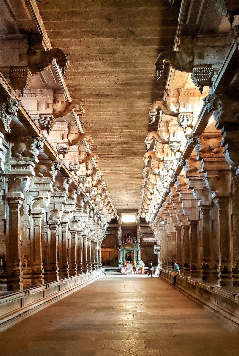 saranstm's tweet photo. One of the lesser-known Chola kings who deserves to be much better known is Kochchenganan Chola, traditionally placed in the Early Chola period, around the 3rd century BCE.

Here’s the remarkable part: he is traditionally credited with building 70 temples.

Among them is the magnificent Jambukeswarar Temple (pic) at Tiruvanaikaval, one of the great Shiva temples of Tamil Nadu. His legacy, however, goes beyond architecture - Kochchenganan is also revered as one of the 63 Nayanars, the celebrated Shaivite saints of Tamil tradition.

A king, temple builder, and saint - yet somehow a name that remains relatively unfamiliar within and outside Tamil Nadu.
