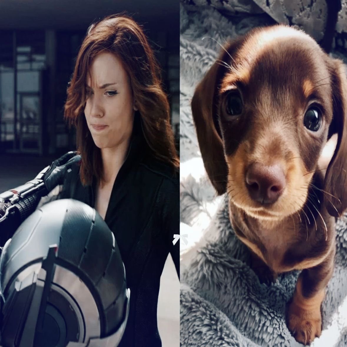 wandanovna's tweet photo. @wntrclairo i am wanda maximoff💖💖💖 and here wanda ❤︎⁠ natasha!!! | #yumetwt https://t.co/MH4xJtrV2D