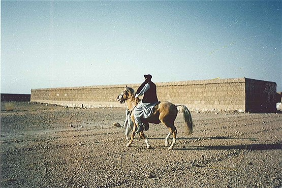 Qahtani297's tweet photo. Whilst racing with his sons, and due to the Sheikh being near blind in his right eye he missed a ditch that was ahead of him and as a result he galloped straight into it pitching headfirst off the horse in a near death accident

After being ushered to care, Dr Ayman and a... 1/3 https://t.co/At7KvkJZ7Y