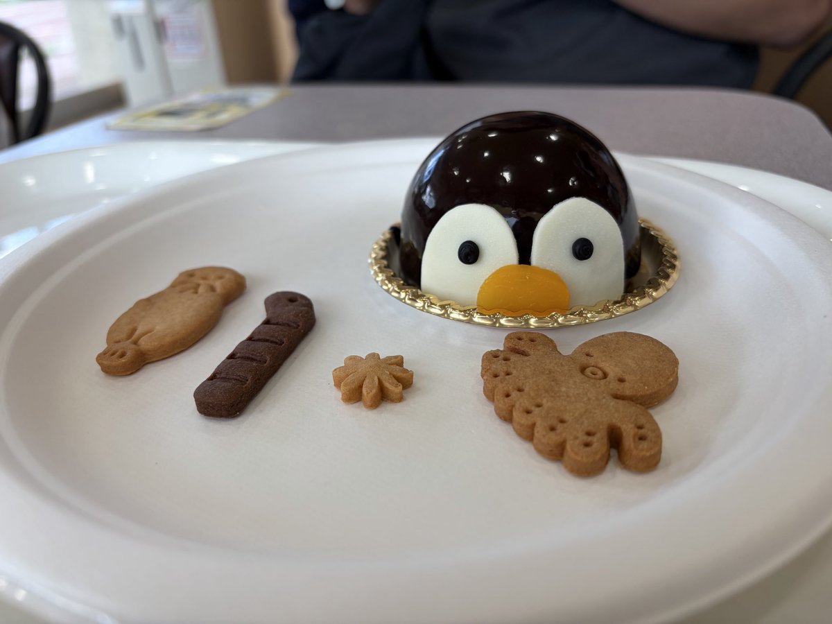 open3kopen3's tweet photo. 4ヶ月ぶりのペン水でエネルギーチャージ🐧

#長崎ペンギン水族館 https://t.co/XU6Qk2m34l