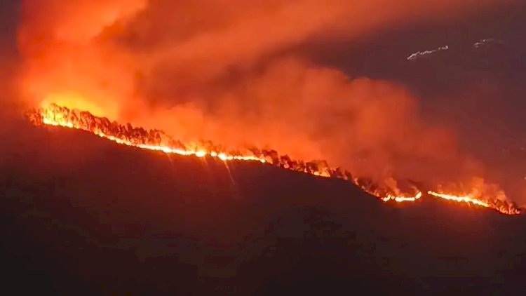 danskuss's tweet photo. ⚠️⚠️ Rinjani Kebakaran ⚠️⚠️

Per selasa kemarin, 22 Sept 2026.

Berdasarkan data BPBD NTB, kebakaran hutan dan lahan yang melanda jalur pendakian Gunung Rinjani via Torean di Kabupaten Lombok Utara ini terjadi sekitar pukul 18.50 Wita, Selasa (22/9) kemarin.

Luas yang terdampak sekitar 127 ha dan penyebabnyaa masih belom diketahui.

Jalu pendakian via Torean ditutup sementara ufn.

Semoga lekas dipadamkan dan tidak ada korban jiwa 🤲✨️