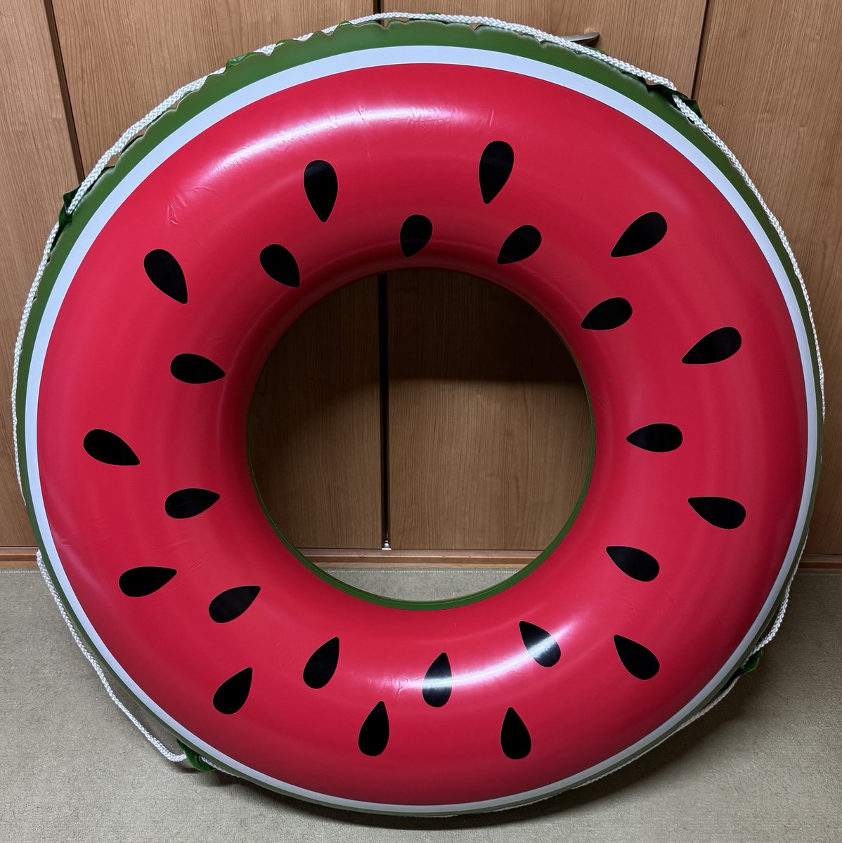 468naruse's tweet photo. しろは専用の浮き輪を入手した https://t.co/MsLNgeHaSw