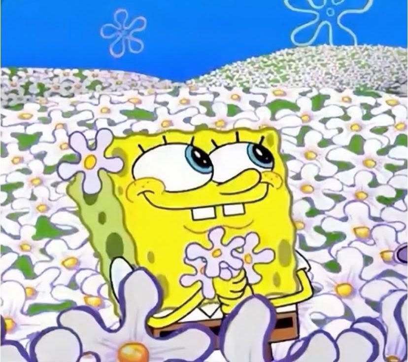 suzukixmj's tweet photo. this picture is so spongebob i can’t explain it https://t.co/3Hlmcba3xT