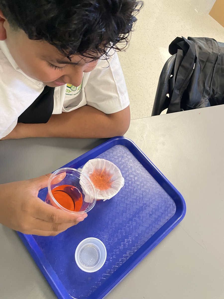 cortezjocelyn98's tweet photo. 🩸 Filter it out! Our @TAGinPG 7th graders became biomedical engineers for the day, building their own “kidneys” to model how these amazing organs filter wastes and toxins from the blood, aligned to TEKS 7.13A: HumanBody Systems! 🧪✨ @DrReyC @disdstemscience https://t.co/cNxS7BdenZ