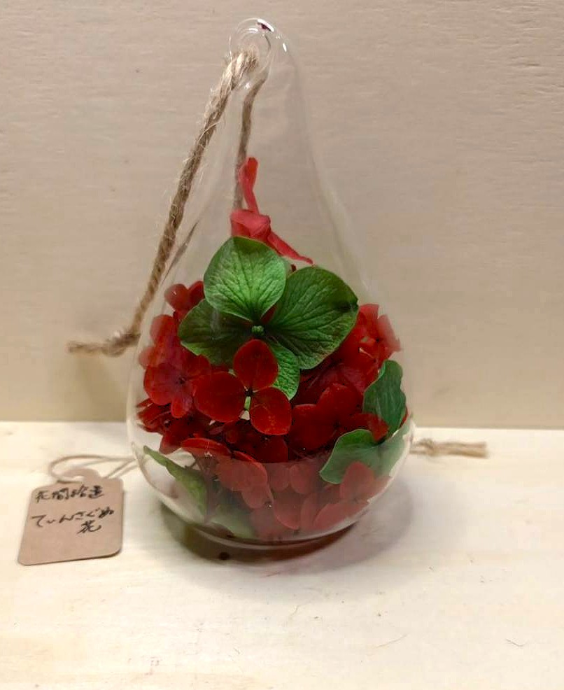 ottotohana's tweet photo. 花間拾遺　10

《てぃんさぐぬ花》

爪を赤く染めるのは、魔物から身を守る
おまじないなんだって。

#花間拾遺 #良人と花 https://t.co/XVLxsgmy6e