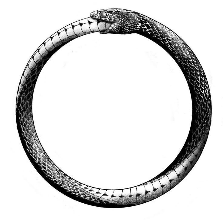 cartasdocaveira's tweet photo. cobra que não troca de pele
vive presa nas próprias limitações https://t.co/ULPZyt8RSO