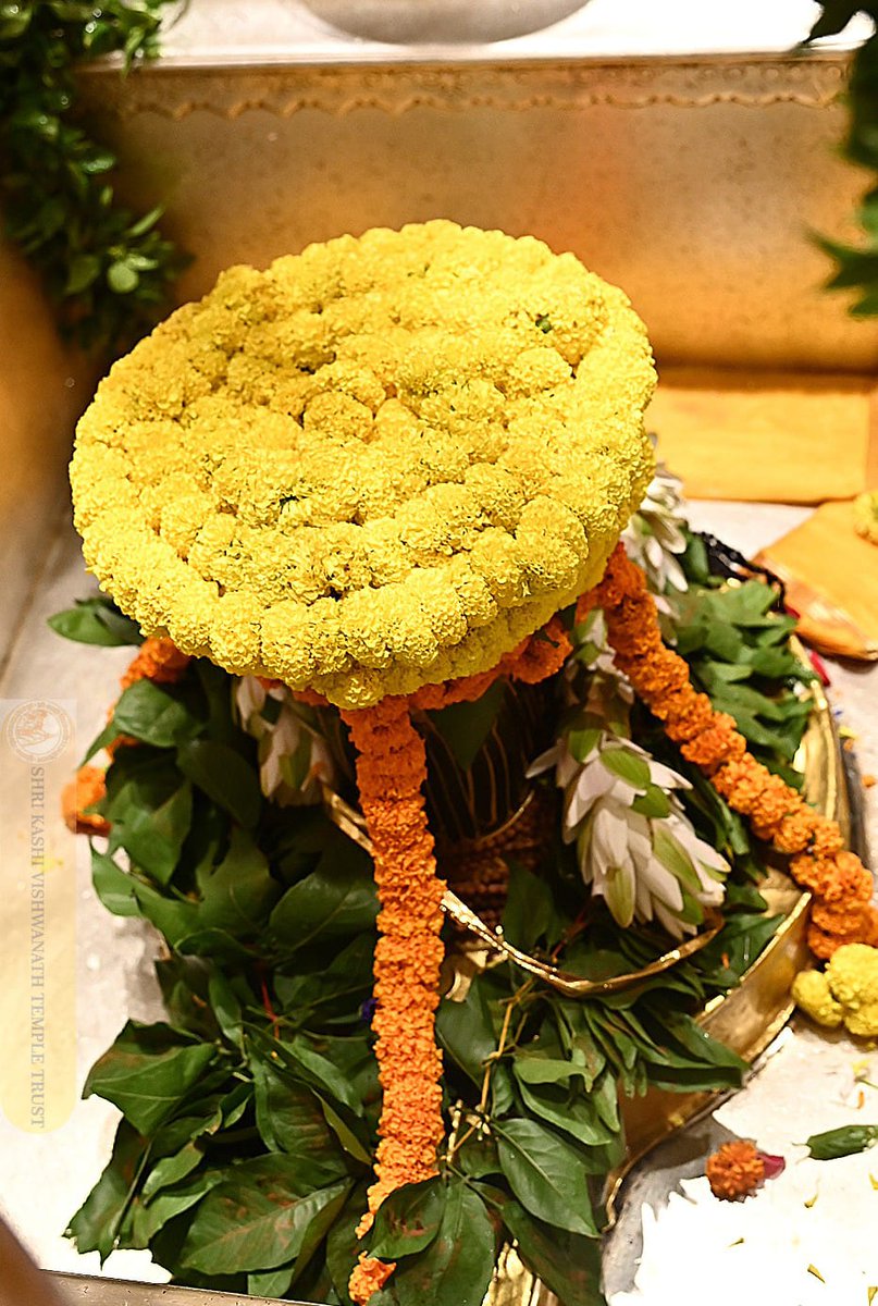ShriVishwanath's tweet photo. श्री काशी विश्वनाथ जी की मंगला आरती I https://t.co/VSg3O5wVWD