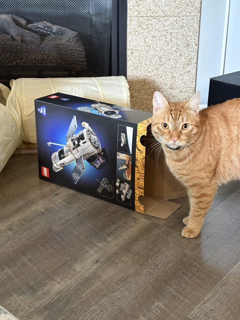 ChriGibs's tweet photo. @AJamesMcCarthy Awh, I missed this. I have an orange cat too. He's named L.E.O. Here he is with the fun part of my recent Lego build, also a somewhat famous Low Earth Orbit object. https://t.co/9F8bZ28fWX