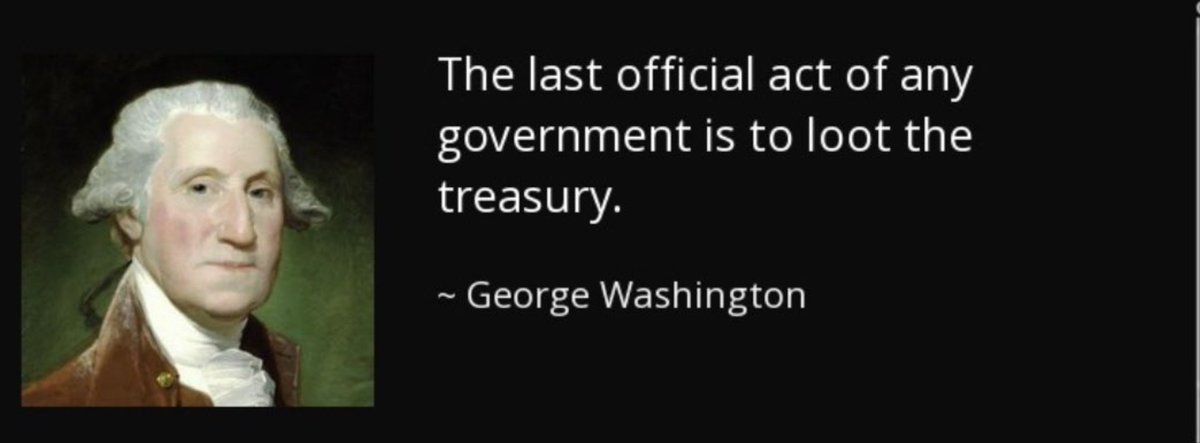 Perich_Suzanne's tweet photo. @EricLDaugh America was being looted! https://t.co/p1niB3gCNJ