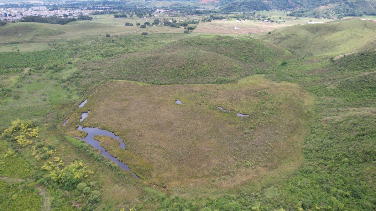 DIANNYMARCELA's tweet photo. Finca Marengo(64 ha), todas destinadas a conservación/investigación ambiental en Pitalito Huila. Retomo idea de @ALVAROHCARDONA y ¿si esta es la sede de un instituto de investigación? Y si el @inst_humboldt y @InstitutoSINCHI están juntos aquí donde se unen Andes y Amazonia. https://t.co/ApdiXsBRf1