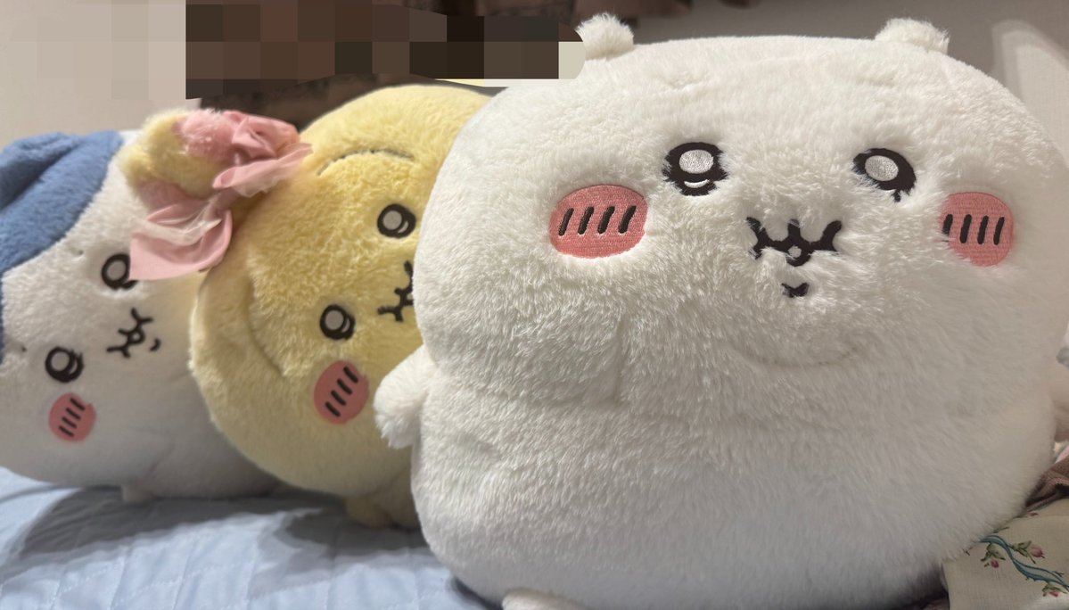 bnbguriri's tweet photo. 布団でゴロゴロしようと思ったらでぶ達が占領しててこれ( ᐢ. ̫ .ᐢ ) https://t.co/fL6PxjU2LW