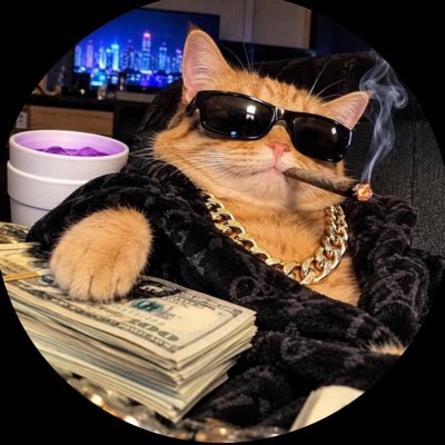 swiftyyy_____'s tweet photo. #NewProfilePic https://t.co/ymwamuLvjq