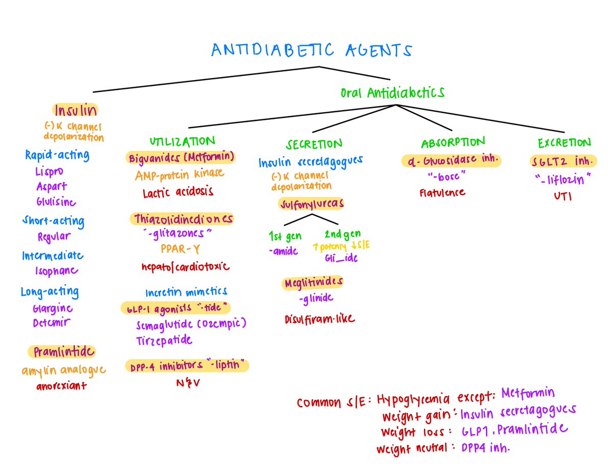 fueledbyrph's tweet photo. Antidiabetic agents https://t.co/5gkolsa90i