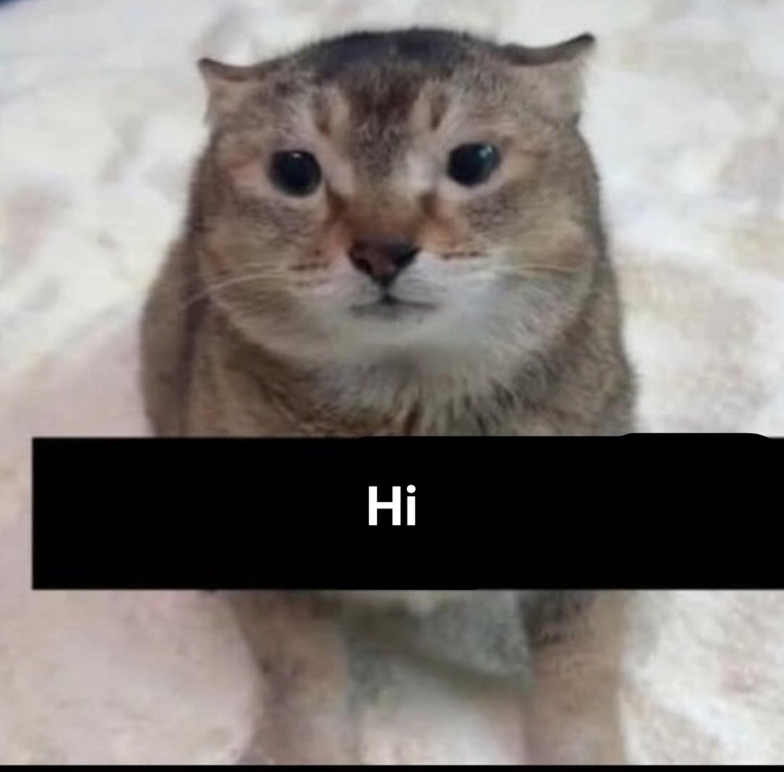 the47cat's tweet photo. https://t.co/zlfA4jgNTF