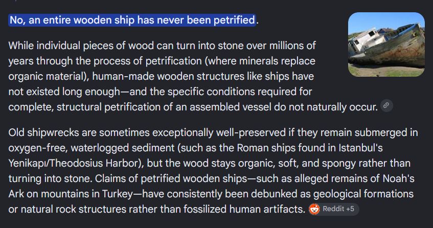 MeatGoblet's tweet photo. @damithowe @noahsarkscans I had no idea about petrified wood 😮 https://t.co/E4MzzcPOp7