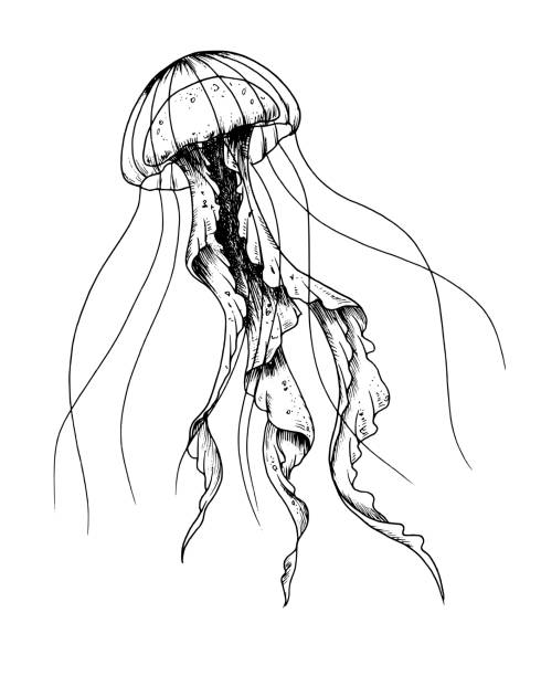 DortheaMucyjsv's tweet photo. 星空に囲まれた阿蘇でペンギンがひっそりと巣を作る。 https://t.co/XX1DrHRZHS