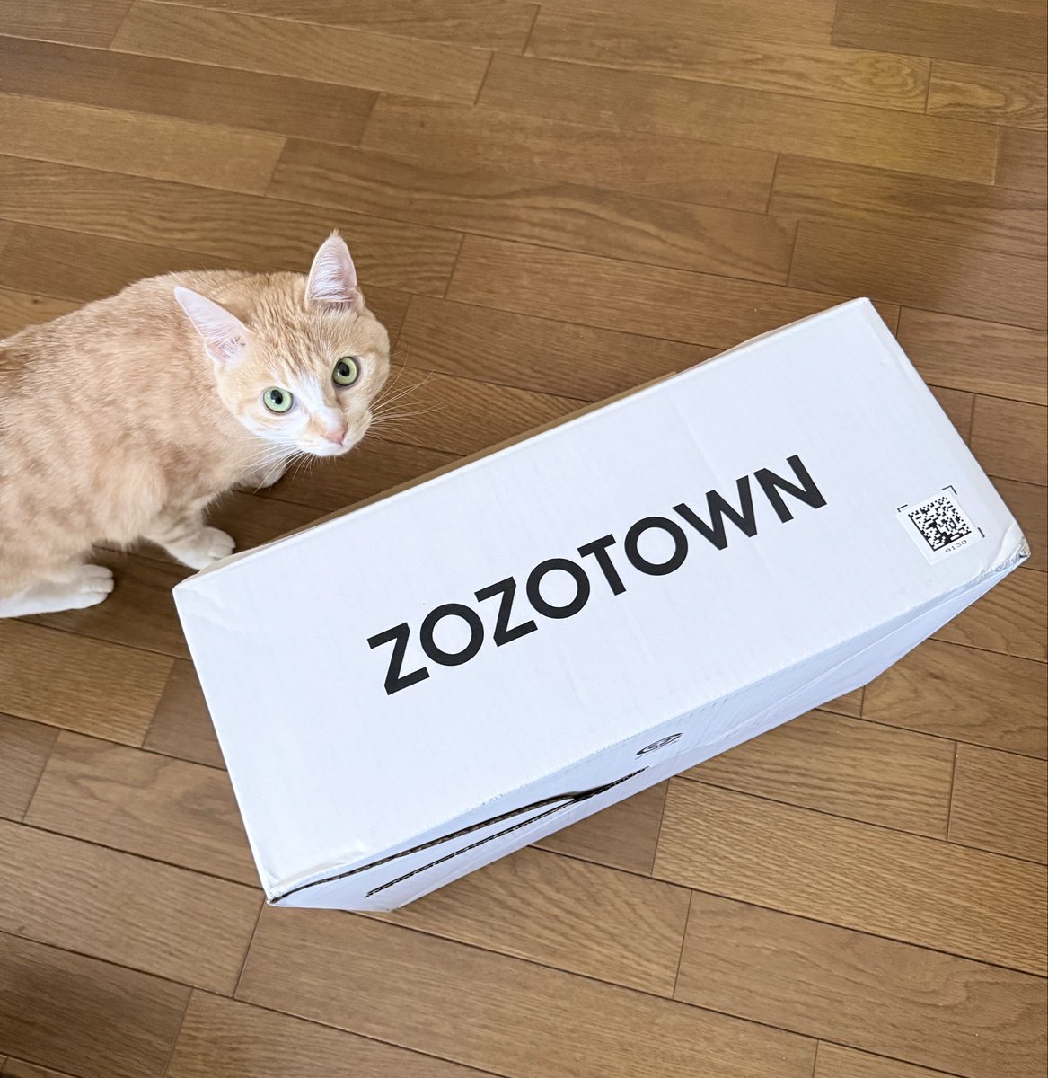 SvtJ1004's tweet photo. ZOZOTOWNでしかほとんど服を買わない私のもとについに初めて白い箱が届いた🤍
箱を見た瞬間にうちの猫と一緒に、え！？なに！？！？ってなった
どうかどうか当たりますように！！！🙏🏻🙏🏻🙏🏻

#ZOZOTOWNWEEK箱CP https://t.co/sGs5y3OcAo