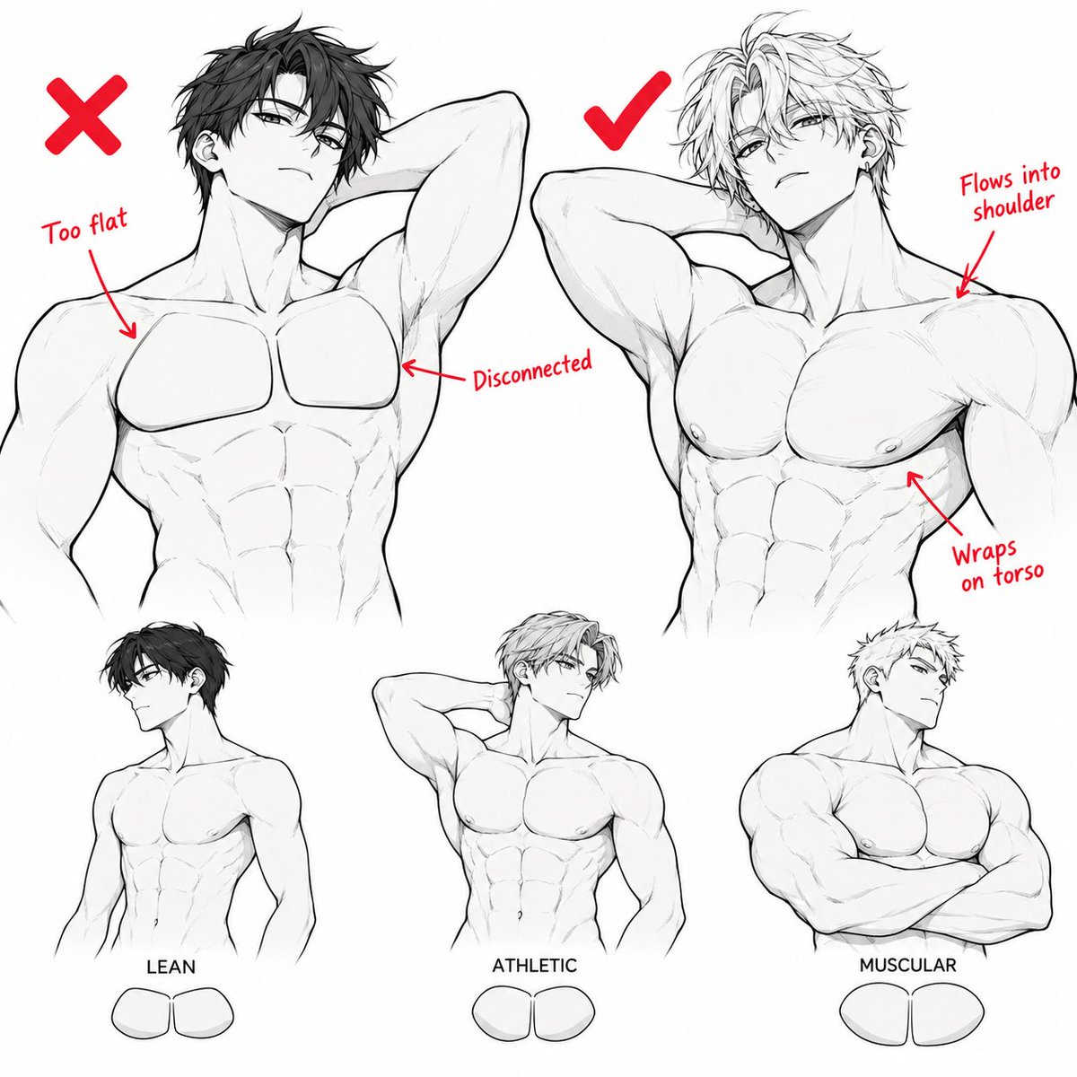 LumiCanvass's tweet photo. Pectoral Form Guide — Part 2 https://t.co/UABDMZU1iq