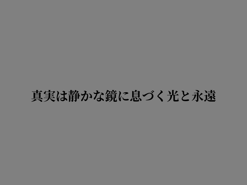 ShannonKeely's tweet photo. 感謝の気持ちでいっぱい https://t.co/CzcQ4WQvOi