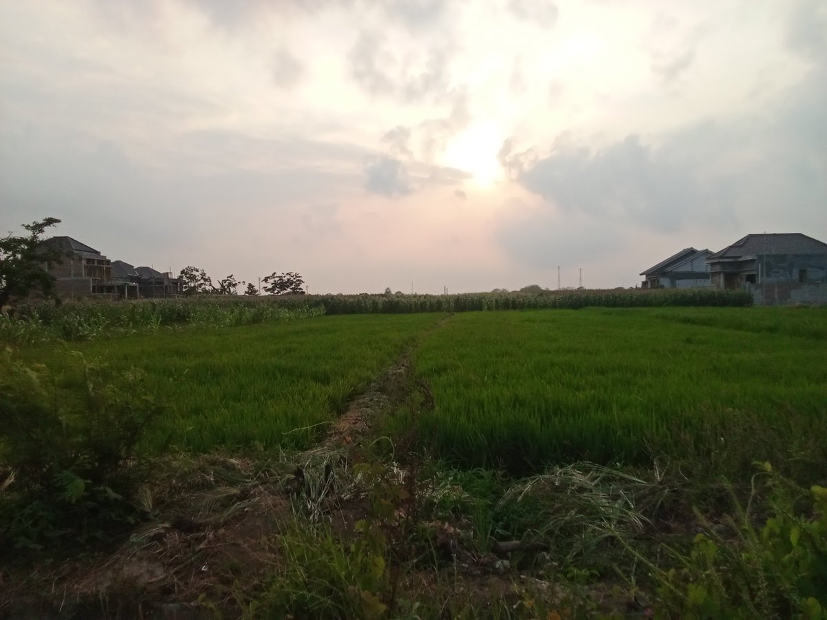 dhtz's tweet photo. Ngopii dulu dah 
#yongs 🤘 https://t.co/GHh6nKPbzY