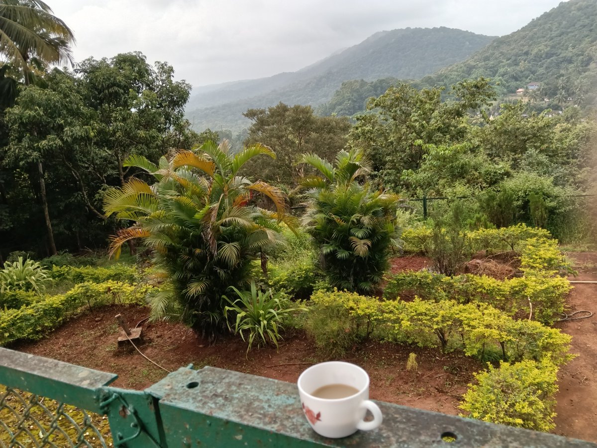 iam_rajeshraju's tweet photo. Mornings made of
Woods,Fresh air, birdsong 
and coffee ✨ 
#GOOD_DAY https://t.co/RxlCwCT8H7