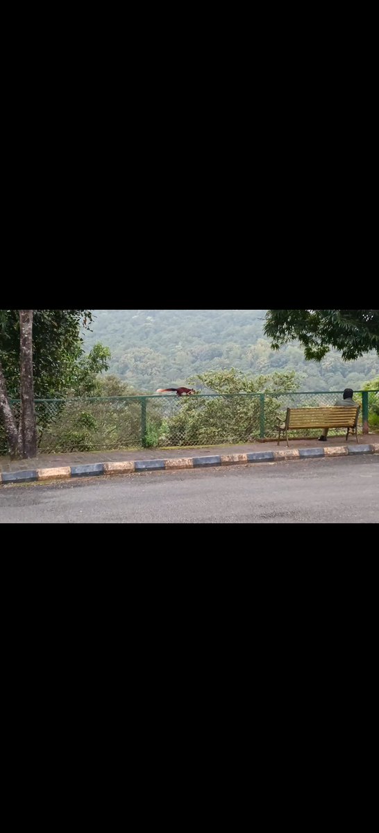 iam_rajeshraju's tweet photo. Mornings made of
Woods,Fresh air, birdsong 
and coffee ✨ 
#GOOD_DAY https://t.co/RxlCwCT8H7