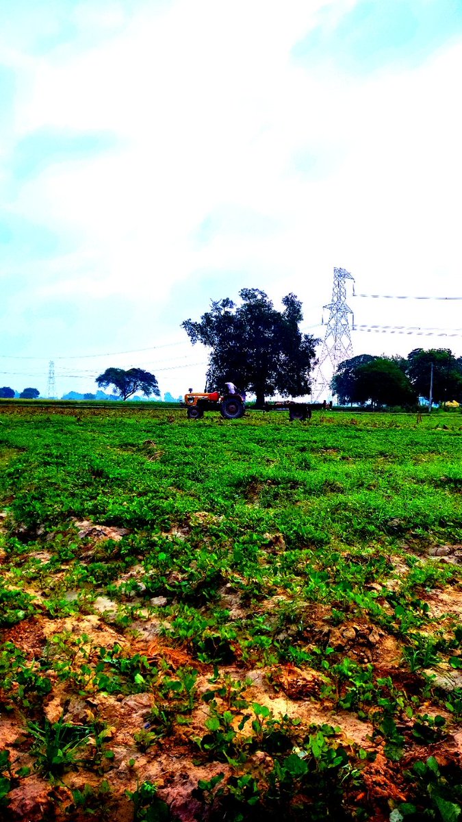 Fintowl's tweet photo. Kheton ki haryali aur vikas ki raah. 🚜💡
#FarmLife #Development #RuralIndia https://t.co/DAKoJrKv7D