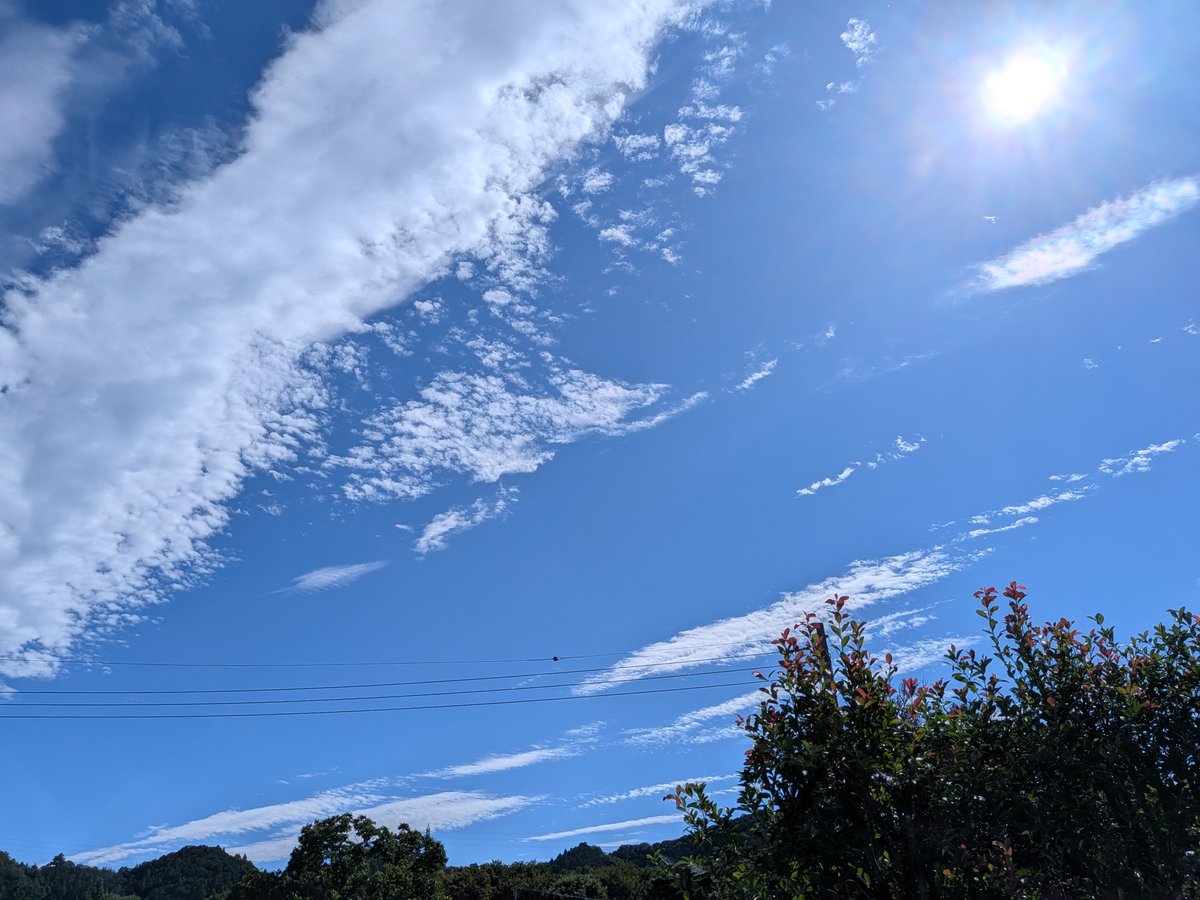 zqbr3g's tweet photo. おはよ〜☀いい天気だね♪
C3にあがれたよ！みんなありがとう〜ฅ⁠^⁠•⁠ﻌ⁠•⁠^⁠ฅ💖
月末にゃあこもがんばる🎸🎶

みんなに良いことがたくさん起きますように🍀✨️ https://t.co/LCnfOlFMTn