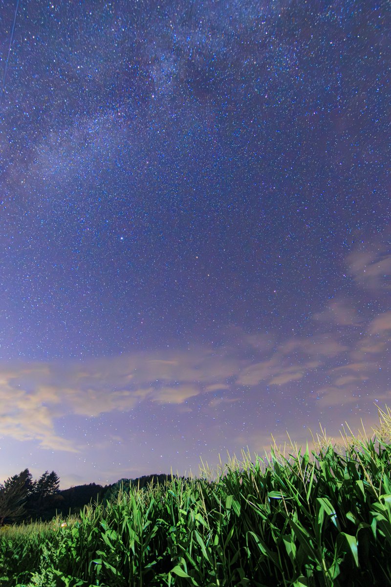 be__11_k's tweet photo. 天の川を撮った時も思ったけど、換算17mmの広角レンズが足りないって感じる場面しかなかった https://t.co/3vtUfeK0pW