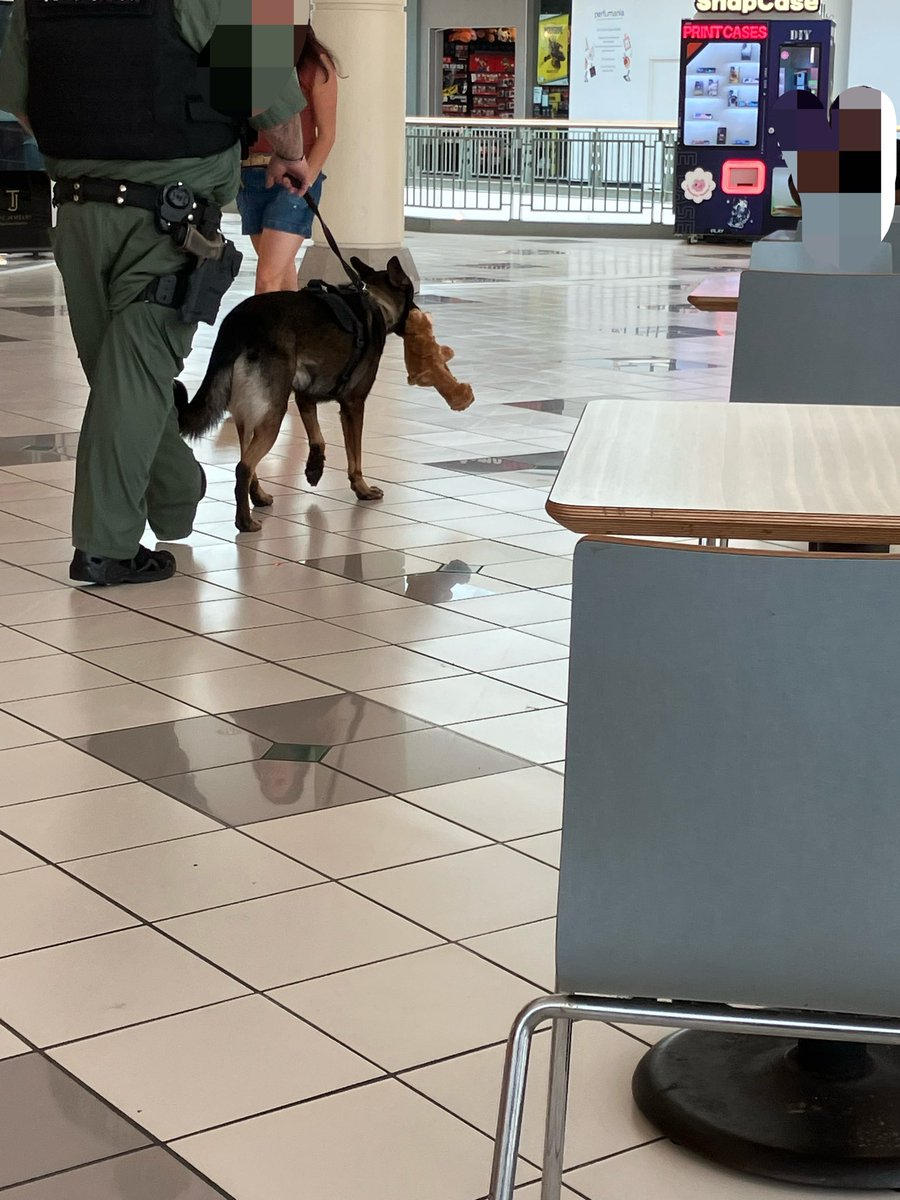 jamsause's tweet photo. Saw the cutest K9 at the mall https://t.co/VqeCMMG4wD