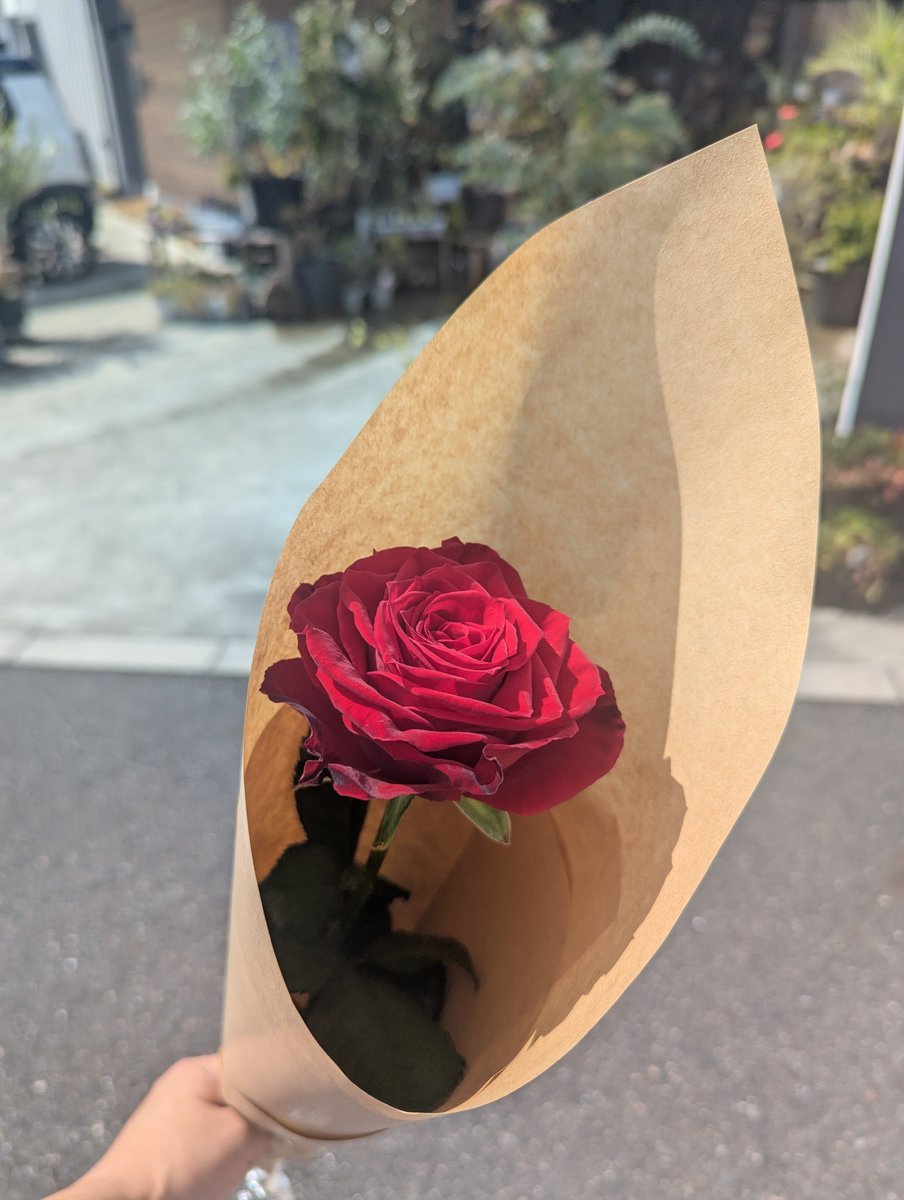 BZARDAcCHAN's tweet photo. この区画を手掛けてくださったお花屋さん行きました。（見切れててすみません）
色々と話してくださって楽しかったです。
松本さんが稲葉さんへ贈られたバラ、天皇陛下にも献上される大変希少な物だそうで...同じの1本頂きました！
お店の写真も許可頂きました。
湯郷の素敵なお花屋さん、皆さん是非！ https://t.co/LlBb7oCzDh