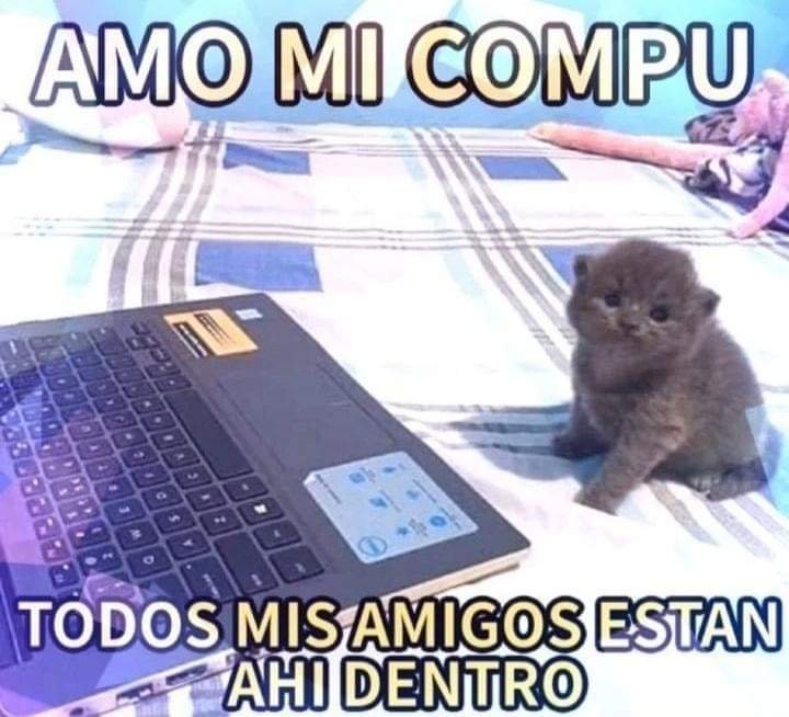 Mantequilla90's tweet photo. https://t.co/jhnBR0REDv