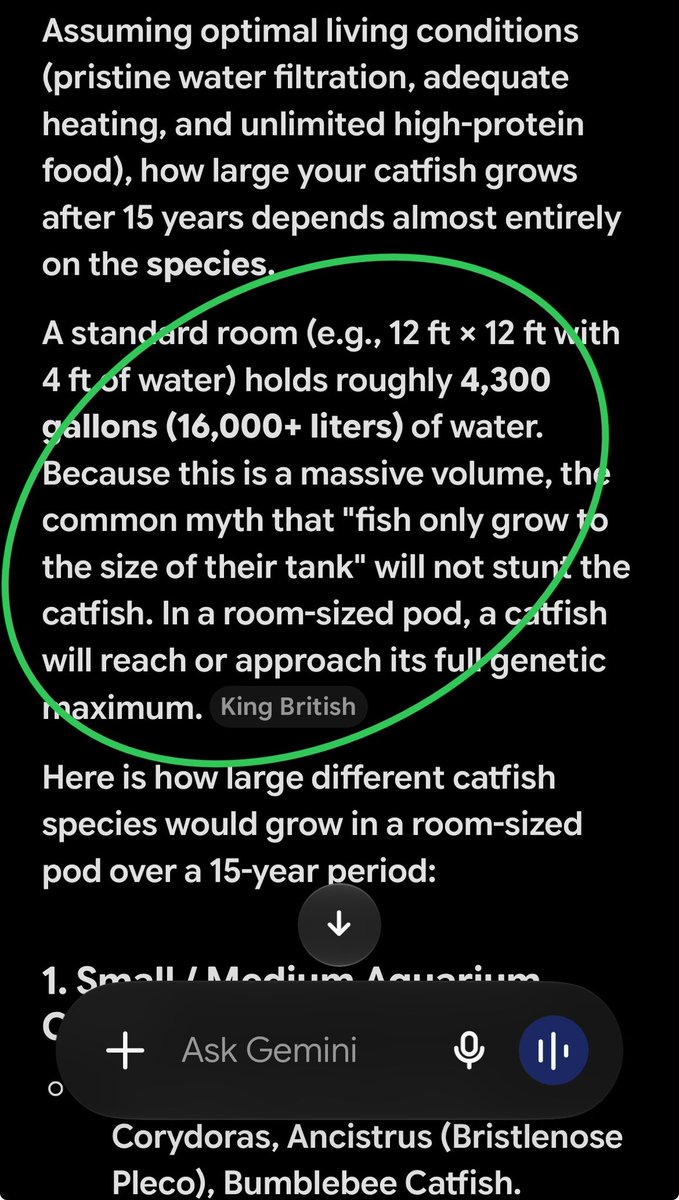 Sokki69's tweet photo. @DrModibbo1 @Nig_Farmer Y’all are just dumb, so you believe if u train a catfish in a 20 liter rubber it won’t grow 😂😂
Go outside and touch grass https://t.co/1jxWsD6EJK