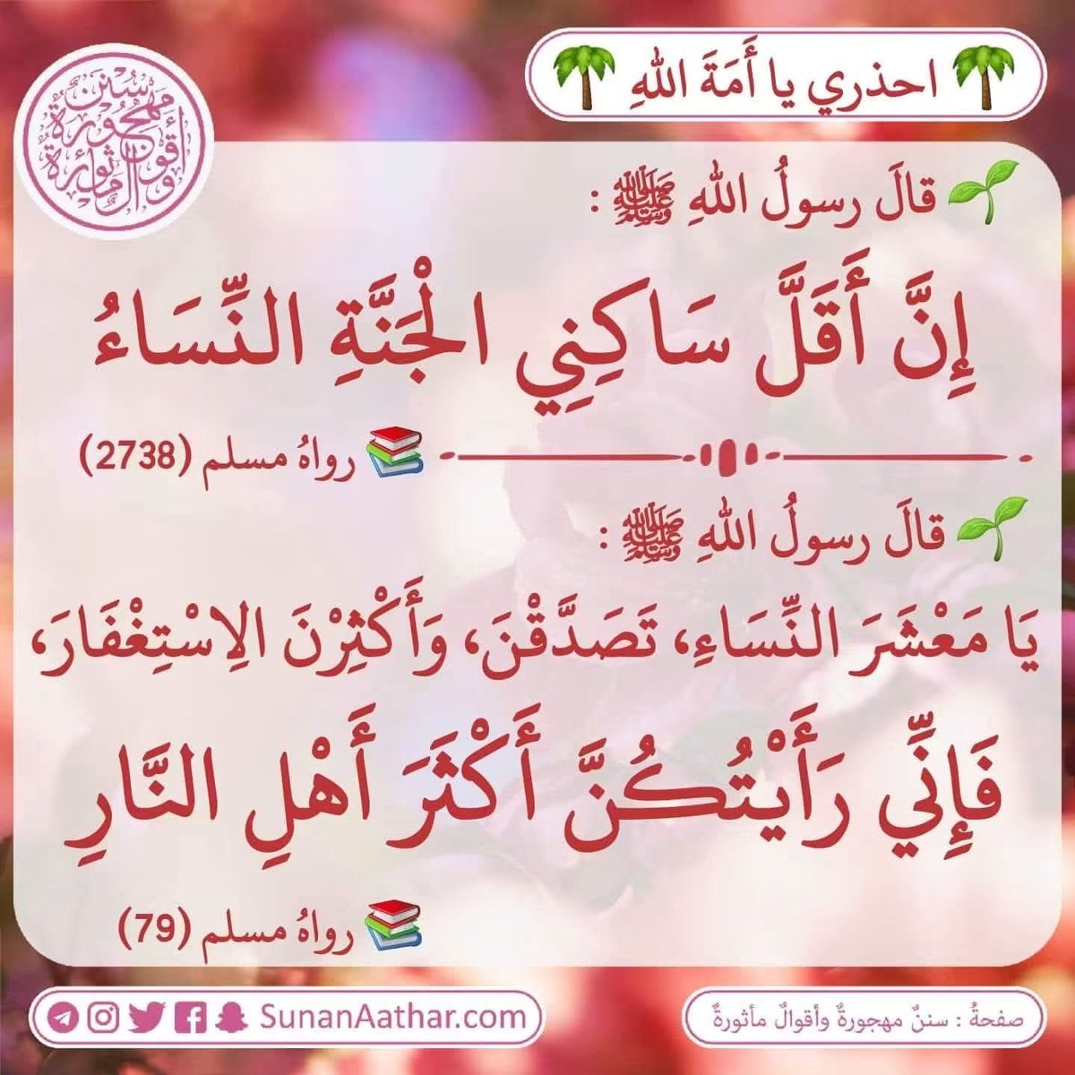 Sunanaathar's tweet photo. 🌴 *احذري يا أَمَةَ اللهِ* 🌴
------------------------
📜  《 سُنَنٌ مَهجورةٌ وأَقوالٌ مأثورةٌ 》
https://t.co/c3MUmMgpVS 

قناة تلغرام :
https://t.co/YaHVyiqf2N
قناة وتس أب :
https://t.co/ATv3C0MUdL https://t.co/6mFOHQoe5G