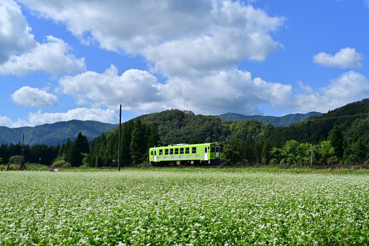 falcon102839's tweet photo. 2026年9月24日
蕎麦畑と秋田内陸線
秋田内陸線松葉駅 https://t.co/zVN3ajyRrv