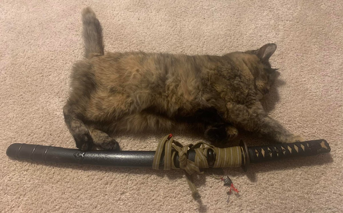 suishaken's tweet photo. All the cat photos with my antiques even though I sold the kusarigama. Next photos below. https://t.co/0lZwnJOu1L