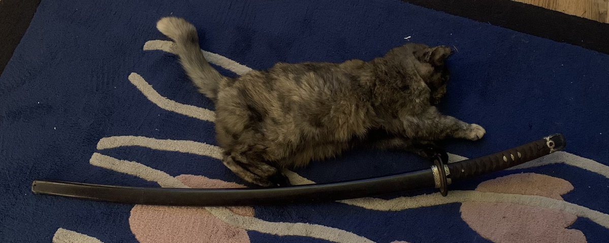 suishaken's tweet photo. All the cat photos with my antiques even though I sold the kusarigama. Next photos below. https://t.co/0lZwnJOu1L