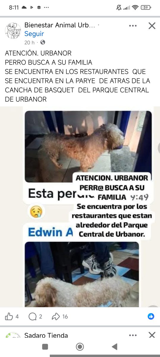 AlertaMePerdi's tweet photo. #ENCONTRADO #GUAYAQUIL
Fecha: 2026-09-23
Sector: Norte, Urbanor
Sexo: Desconocido
Raza: No sé
Observación: Tal como se lo ve ahí
Contacto: 0989050538
¡Ayúdalo a volver con su familia!
 #AlertaMePerdí https://t.co/cN6rRKnRQj