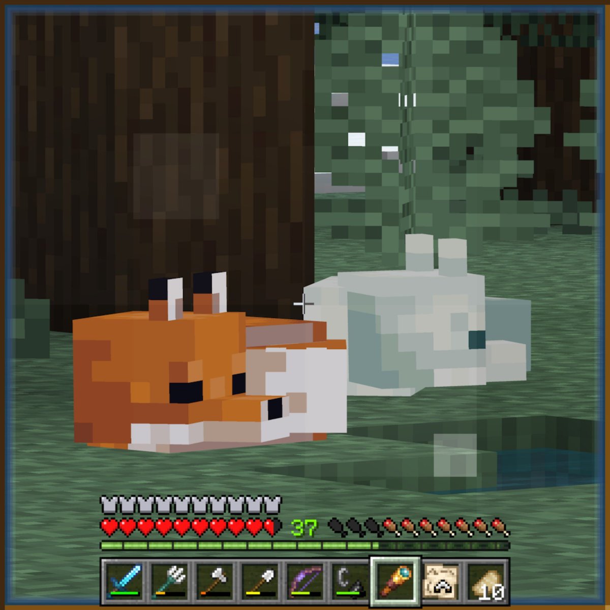 BitchesLovePKMN's tweet photo. cubocubocubo https://t.co/DnpcSz61Vf