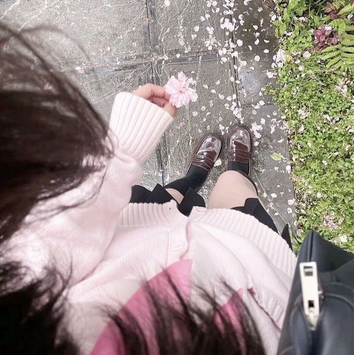 diorthorexic's tweet photo. ⠀⠀⠀⠀  ⠀#promotwt  🫧🪷
⠀ ⠀ ྀིྀི ℳ𝚊𝚍𝚍𝚢 ⠀⠀ .ㅤ𓈒 ׄ ⠀🦢⠀⠀⠀⠀⠀ 𝟐𝟕.
     minors dni.    ♡   ⠀⠀ocd , schizo , bpd , DID⠀⠀⠀ಐິ    ana   ʚɞ gw : 40kg.
⠀⠀⠀⠀⠀⠀⠀⠀   ⠀🐇
#edrtwt  #shedtwt  #drugtwt  #kleptotwt #obslovetwt #moothunt https://t.co/nCKVgo03YP